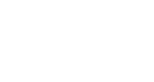 BIM Point